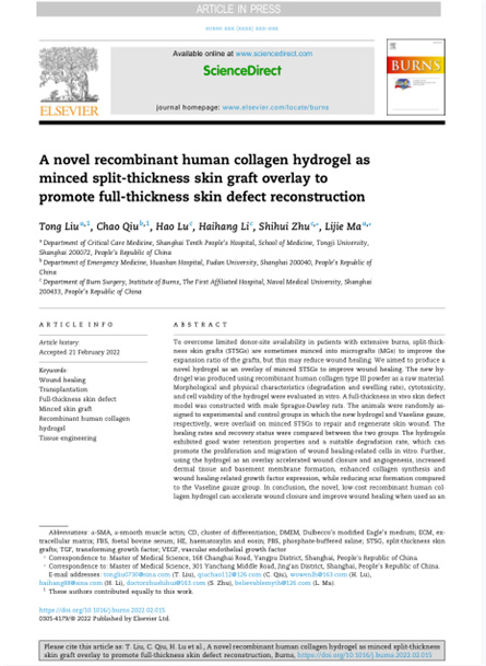 2022 动物研究，重组胶原用于微粒皮移植覆盖